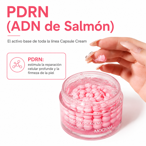PDRN Capsule Cream Rosa - Ingredientes
